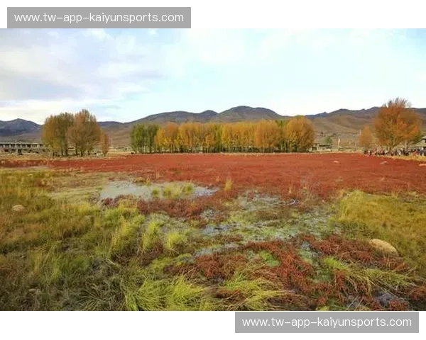 冰城邂逅天堂，哈尔滨与杭州的南北对话
